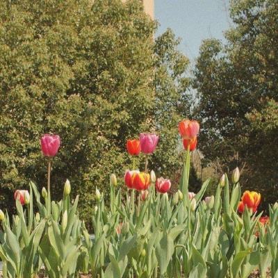 澳门新莆京游戏大厅手机app下载