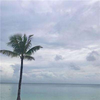 澳门正版资料大全