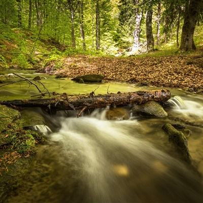 皇冠新体育app下载手机版